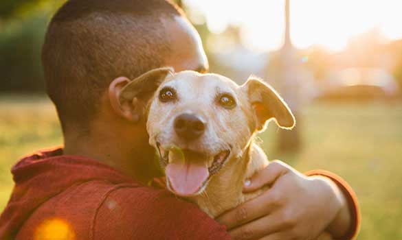 Cuddle Time for Dogs