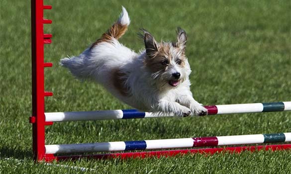 Training Aside Image