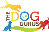 Dog Gurus